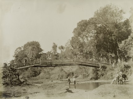 Wolseley and Smyth at Wuntho. Horses ridden by General Wolseley and Major Smyth drink from a