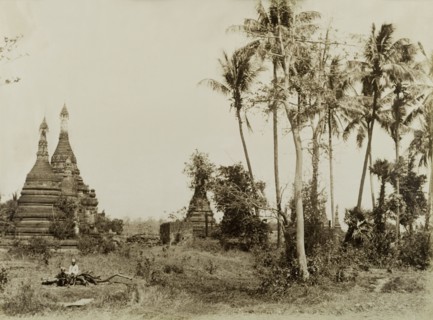 Deserted shrine at Wuntho. Several carved stone 'zeidis' or pagodas emerge from the undergrowth at