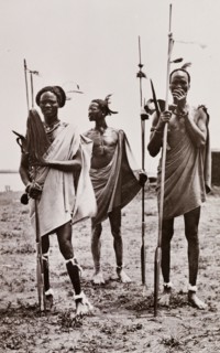Portrait of three Shilluk warriors. Group portrait of three Shilluk warriors. Each man wears a