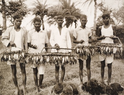 Displaying trophies from a snipe hunt. Five Indian servants, possibly 'shikaris' (traditional