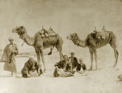 Camel riders near the Suez Canal. A group of Egyptian men and a boy rest with their camels near the