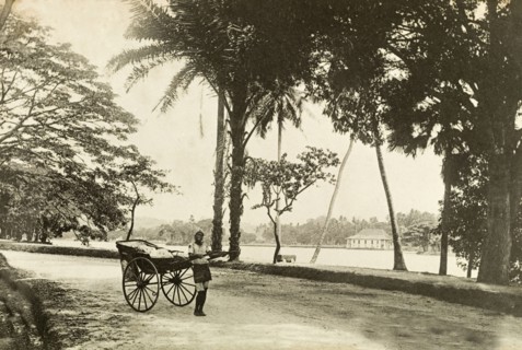 A rickshaw driver in Colombo. A rickshaw driver pulls his cart along a seafront road. Colombo,
