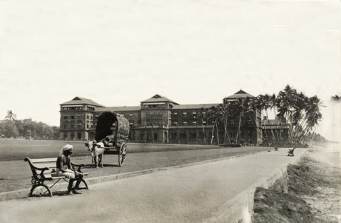Cart driver outside the Galleface Hotel. The driver of a cattle-drawn cart sits, pensively looking