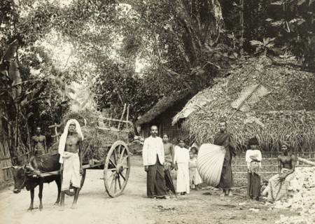Ceylonian village road. A group of Ceylonian men and children in traditional dress stand on a