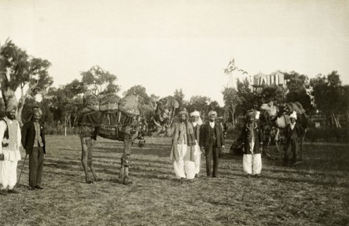 Afghan camel drivers. Afghan camel drivers prepare to welcome the Duke and Duchess of Cornwall and
