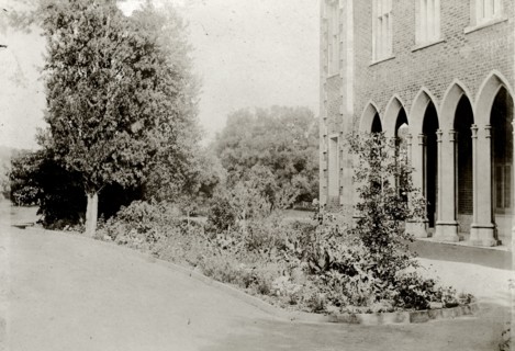 The grounds of Government House, Perth. An arched colonnade in the grounds of Perth's Government