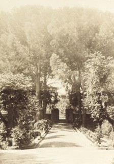 Side entrance to Government House, Perth. Tall trees surround a low gateway, a side entrance