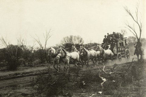 Stage coach travel in the outback. Six horses pull a stage coach full of people along a dirt track