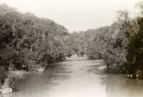 Salween River, Burma (Myanmar). Trees crowd the banks of Salween River as it flows through Shan