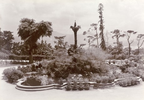Fountain in Hong Kong's Botanical Gardens. A water fountain surrounded by foliage forms the