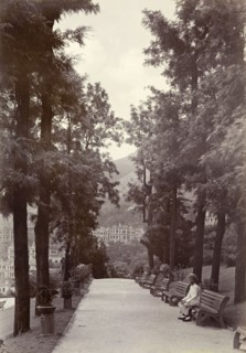 Promenade at Hong Kong's Botanical Gardens. View along a promenade lined with trees and benches in