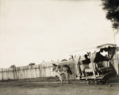 Mule trolley at Shan-hai Kwan. A mule pulls an open carriage along rails, providing transport to