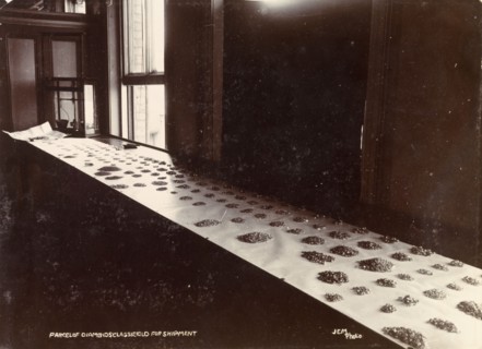 De Beers diamonds. Diamonds are sorted into parcels, ready for shipment, at the De Beers offices in