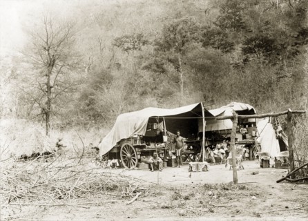 Camp site in the bush. Tents are pitched beside wagons covered with canvas at a camp site in the