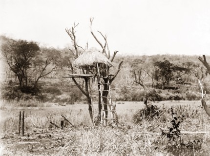 Seeking out game. Three Lozi men sit atop a tall viewing platform on the look out for game to hunt.