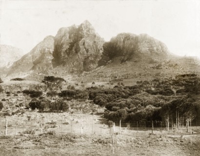 Lion's Head mountain peak. View of Lion's Head mountain peak, taken from the grounds of Groote