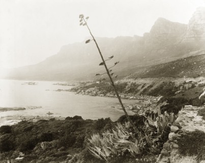 Camps Bay, Cape Town. View over Camps Bay with the Twelve Apostles Mountain Range in the distance.
