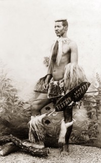 A Zulu warrior. Studio portrait of a Zulu warrior, dressed in traditional Zulu attire and holding a