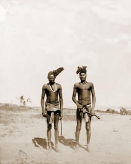 Portrait of two Matabele indunas. Portrait of two Matabele (Ndebele) indunas (chiefs), semi-naked