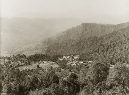 The Himalayan foothills at Murree. View across the forested foothills of the Himalayas that