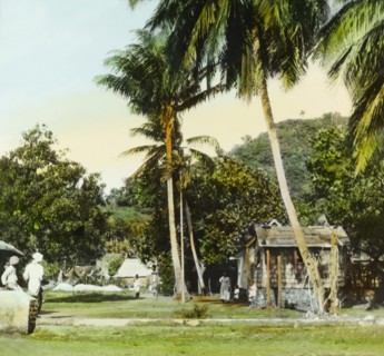 A fishing village in St Vincent. A fishing village near the coast. St Vincent, circa 1910. St