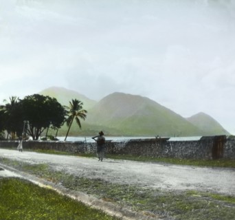 The mountainous coastline of Dominica'. A man carrying a fishing rod walks along a coastal road