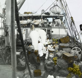 Bananas aboard the SS Chaleur. Jamaican traders travel aboard the SS Chaleur en route to Barbados.