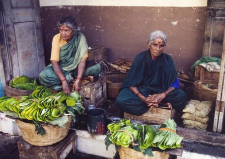 Selling betel leaves at an Indian market. A pair of elderly women sit cross-legged on two wooden