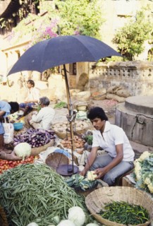 Weighing vegetables at a market in Goa. A man weighs cauliflowers on a pair of scales shaded by an