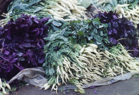 White radishes. Bundles of white radishes lie in a heap at an outdoor market in Goa. Goa, India.,