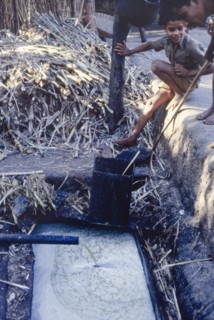 Collecting raw sugar cane juice, India. A young boy watches as raw sugar cane juice runs from a