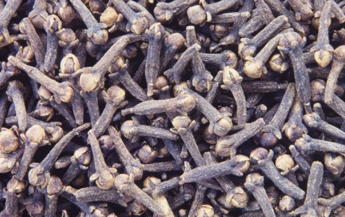 Cloves. Cloves (Syzygium aromaticum) are the aromatic dried flower buds of the clove tree (Eugenia