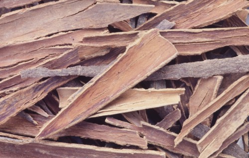 Cinnamon. Cinnamon (Cinnamomum verum) is a small evergreen tree native to Sri Lanka and southern