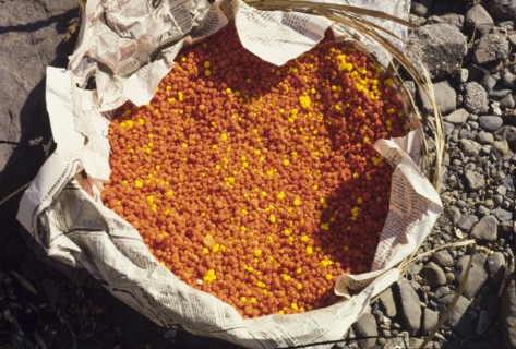 A basket of savoury puffed rice. A basket of savoury puffed rice, on display at an outdoor market