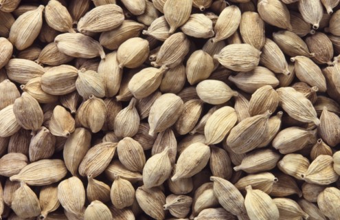 Cardamom pods. Cardamom (Cardamomum) is a pungent, aromatic spice with two species (Elettaria and