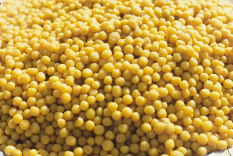 Chickpeas. Chickpeas (Cicer arietinum) are pulses from a plant of the Fabiodaea family, and are