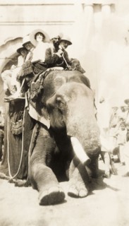 Europeans take an elephant ride, India. A group of smiling European people sit in a howdah on the