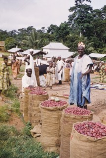 Kola nut merchant, Asante. A kola nut merchant stands beside several sacks containing kola nut