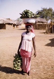 Banana seller in Pong-Tamale. Portrait of a female banana seller in Pong-Tamale. She balances a