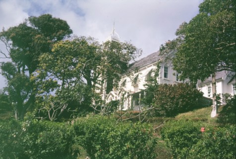 Government House, St Lucia. View through the trees of Government House in St Lucia, a colonial