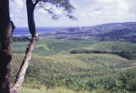 View from Farley Hill, Barbados. View from Farley Hill, looking east over the hilly landscape of