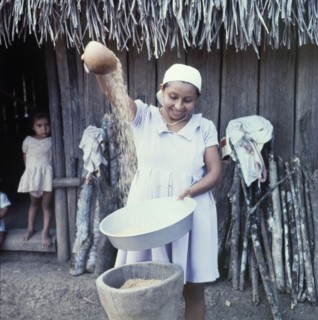 Separating the grain from the husk. A Ketchi woman pours rice from one bowl into another,