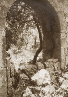 Arch at the ruins of Gedi. An arched stone doorway stands amidst the ruins of Gedi, an ancient