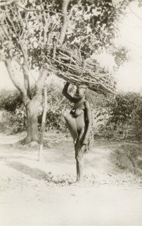 Fuel gatherer'. Profile shot of a semi-naked African woman. She stands, balancing a large bundle of