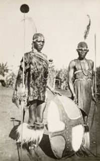 Two Maasai warriors. Full-length portrait of two Maasai warriors in traditional dress, holding