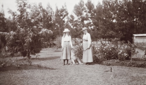 Mrs Elkington poses with her pet lion. Mrs Elkington and her daughter, Margaret, pose in their