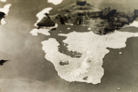 Gas bubbles on the Pitch Lake, Trinidad. Bubbles of gas form on the surface of the Pitch Lake, a