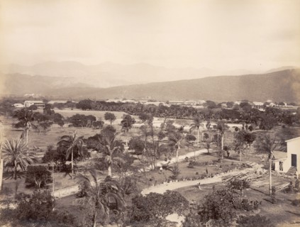 View from the Great Exhibition Building, Jamaica. View taken from the dome of the Great Exhibition