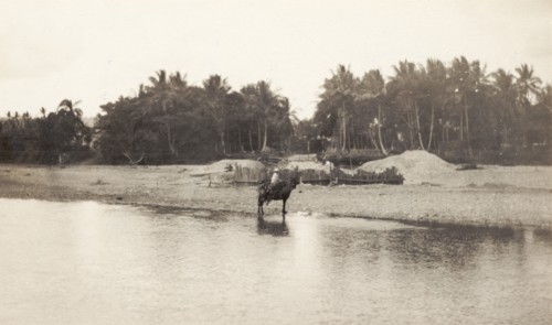 Crossing the Ozama River. A traveller on horseback crosses the Ozama River. Santo Domingo,