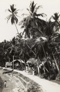 A small coastal settlement. Wooden huts line a beach path at a small coastal settlement. Trinidad
